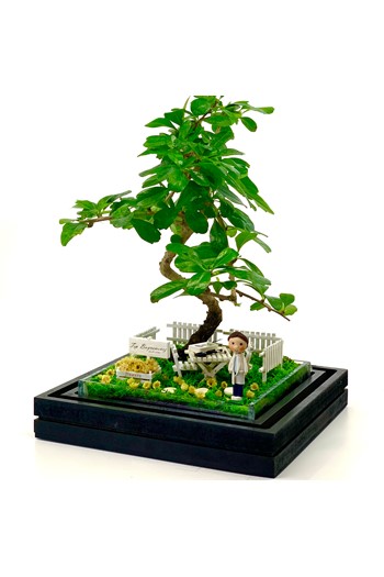 14 Mart Tıp Bayramı, Doktora Hediye, Doktora Teraryum