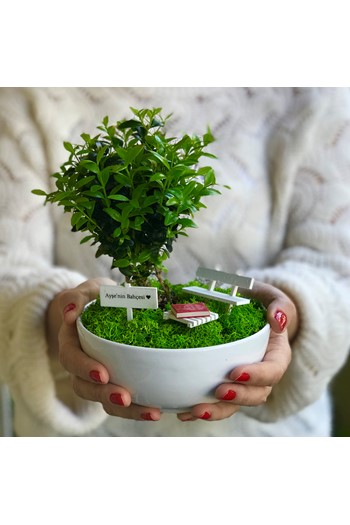 Anneler İçin Bonsai, Anneler İçin Teraryum, Anneye Hediye