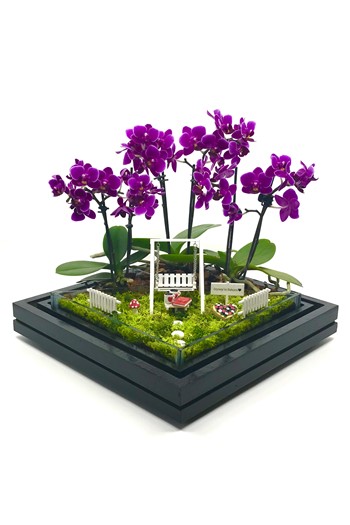 Anneye Hediye Orkide, Pembe Orkide, Orkide Teraryum Gönder