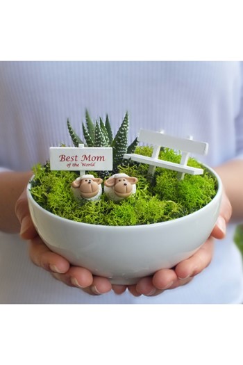 Annneye Hediye Minyatür Bahçe