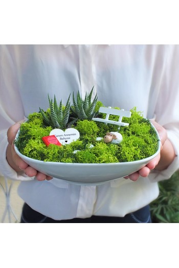 Anneler İçin Bonsai, Anneler İçin Teraryum, Anneye Hediye