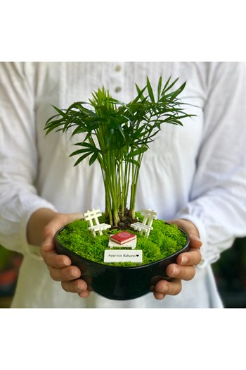 Anneye Hediye Teraryum, Anneler Günü Teraryum