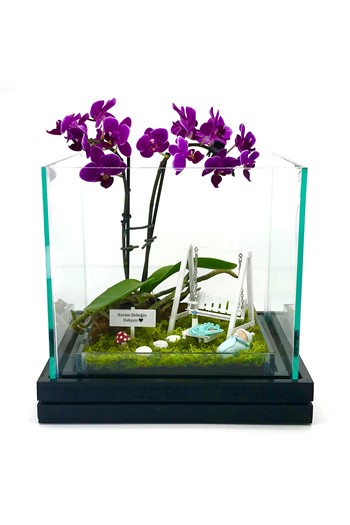 Bebek Hediyesi Orkide, Doğum Hediyesi Teraryum