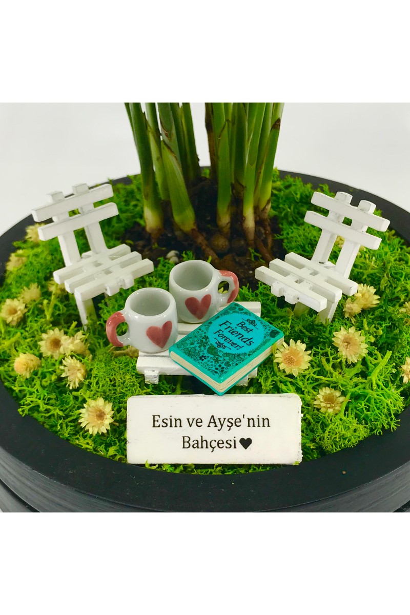 Kişiye Özel Arkadaş Hediyesi Chamaedorea - 4