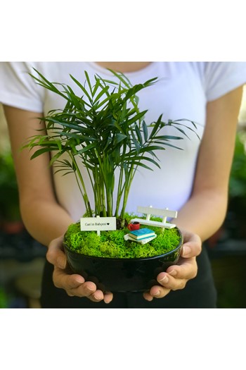 Babaya Hediye Teraryum, Babalar Günü Hediyesi