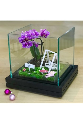 Bebek Hediyesi Orkide, Doğum Hediyesi Teraryum