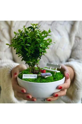 Yeni İş Bonsai, Terfi Hediyesi Teraryum