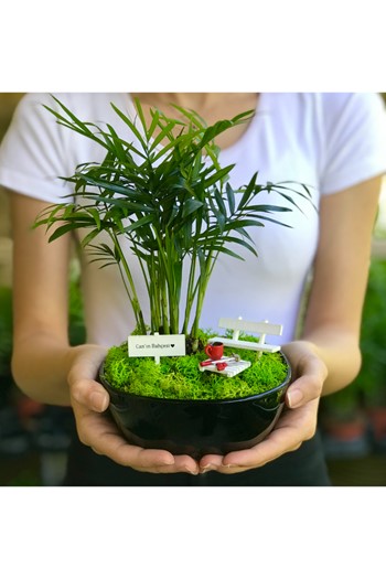 Babalar Günü Hediye, Babaya Teraryum, Minyatür Bahçe