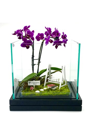 Doktora Hediye Teraryum, Doktora Çiçek, Doktora Teşekkür