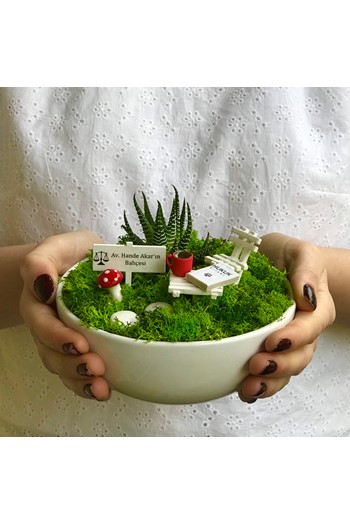 Avukata Hediye Minyatür Bahçe, Avukata Teraryum