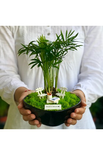 Bankacıya Hediye Teraryum, Bankacıya Minyatür Bahçe