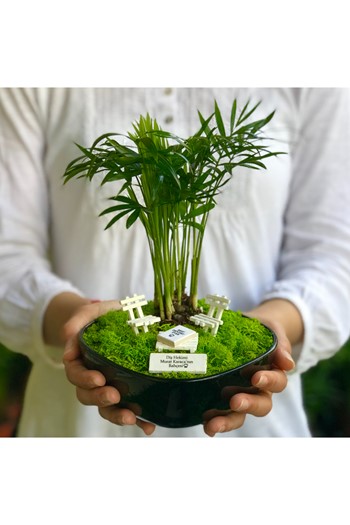 Diş Hekimine Hediye Teraryum, Dişçiye Minyatür Bahçe