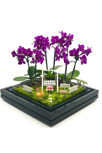 Doğum Günü İçin Orkide, Doğum Günü İçin Teraryum