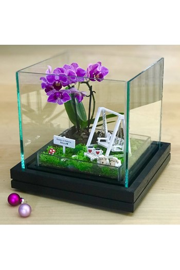 sevgilier günü çiçek, teraryum gönder, sevgiliye orkide