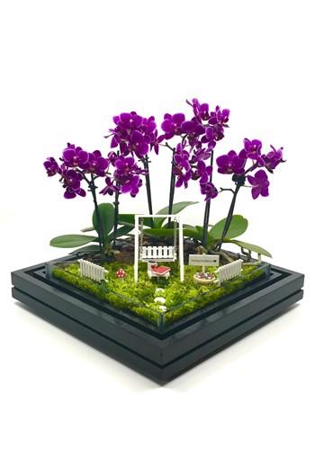 Eczacıya Hediye Orkide, Eczacıya Hediye Teraryum