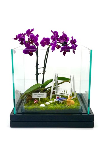 Yıldönümü Hediyesi Orkide, Yıldönümü Hediyesi Teraryum