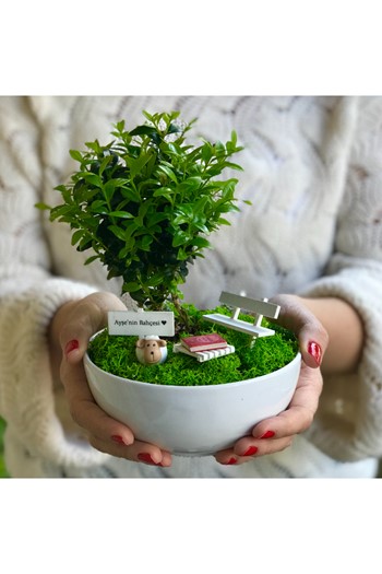 Anneler Günü Bonsai, Anneye Hediye Teraryum