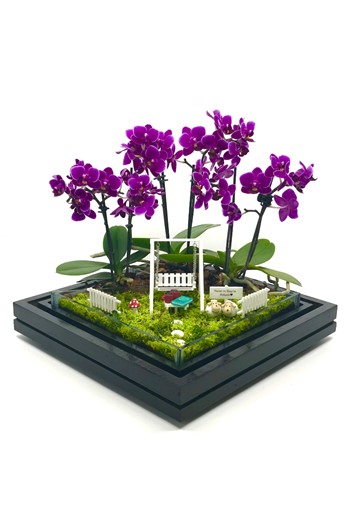 Arkadaşa Hediye Orkide, Arkadaşa Hediye Teraryum