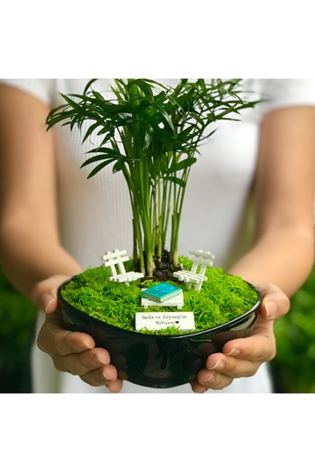 Arkadaşa Hediye Teraryum, Arkadaş İçin Hediye