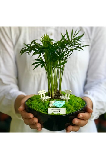 Bebek Hediyesi Teraryum, Doğum Hediyesi Sukulent