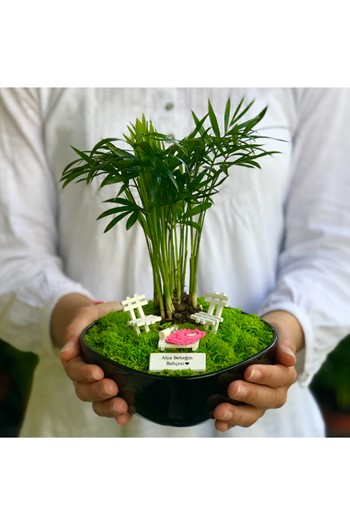 Doğum Hediyesi Teraryum, Bebek Teraryum