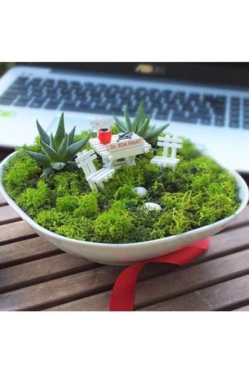 Doktora Hediye Teraryum, Tıp Bayramı Teraryum