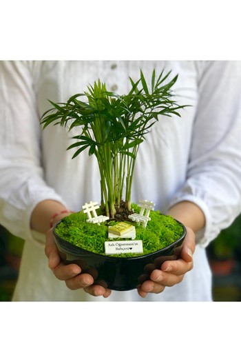 Öğretmene Hediye Teraryum, Öğretmenler Günü Minyatür Bahçe