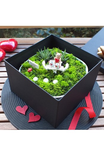 sevgilier günü çiçek, teraryum gönder, sevgiliye hediye