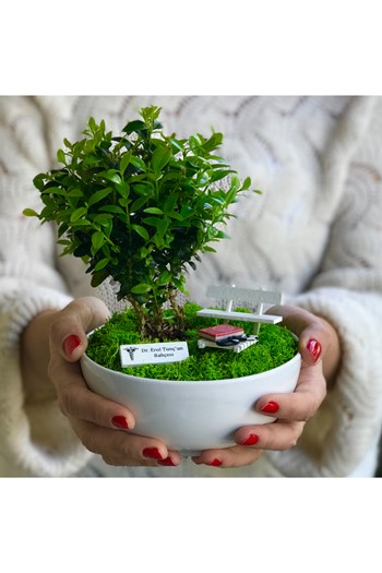 Tıp Bayramı Bonsai, Doktorlar için teraryum