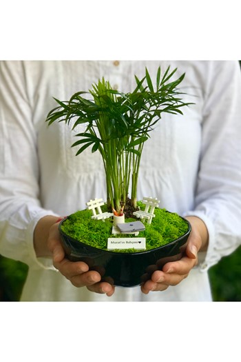 Yeni İş Ofis Teraryum, Yeni İş Minyatür Bahçe