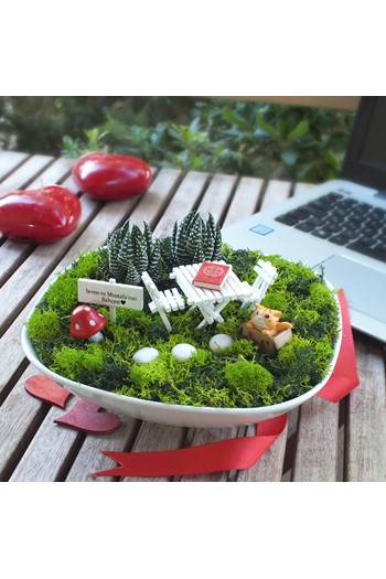 Kedili Hediye, Kedi Severe Teraryum