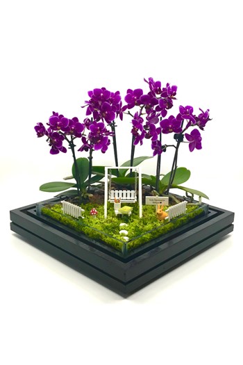 Öğretmene Hediye Orkide, Öğretmene Hediye Teraryum