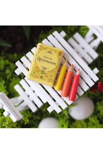 Öğretmene Hediye Teraryum, Öğretmenler Günü Minyatür Bahçe