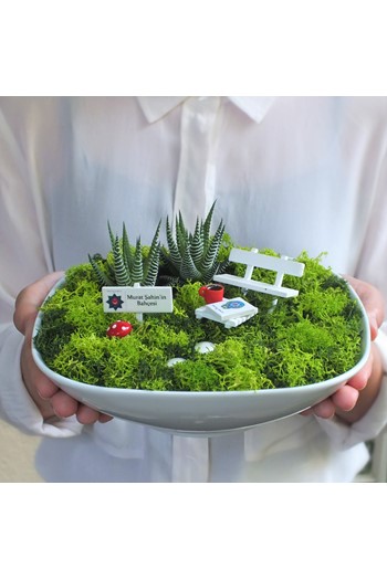 polis için sukulent, polise hediye minyatür bahçe