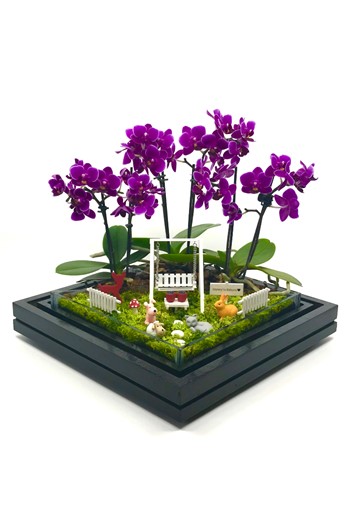 Yıldönümü Hediyesi Orkide, Yıldönümü Hediyesi Teraryum