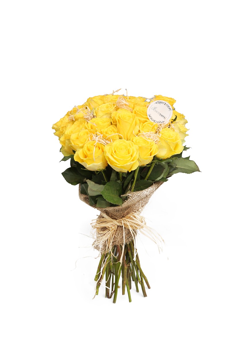 Yellow Dream Roses