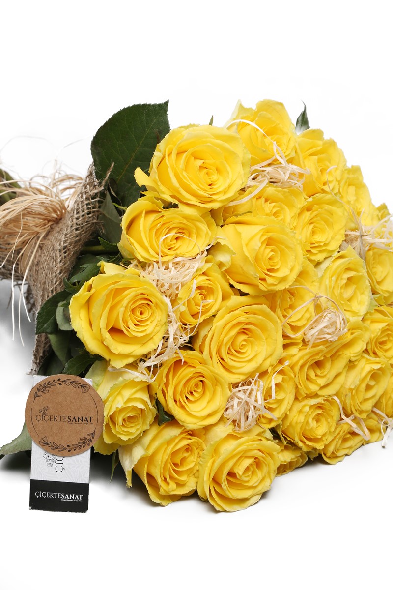 Yellow Dream Roses