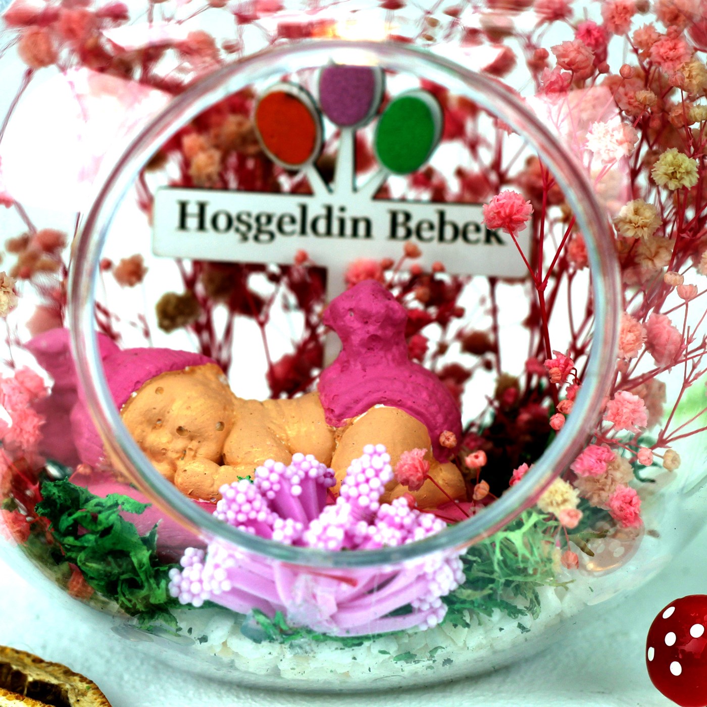Kare Çerçeveli Teraryum Elma Hoşgeldin Bebek Kız - 4