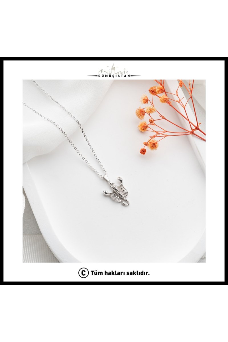 925 Ayar Gümüş Akrep Kolye
