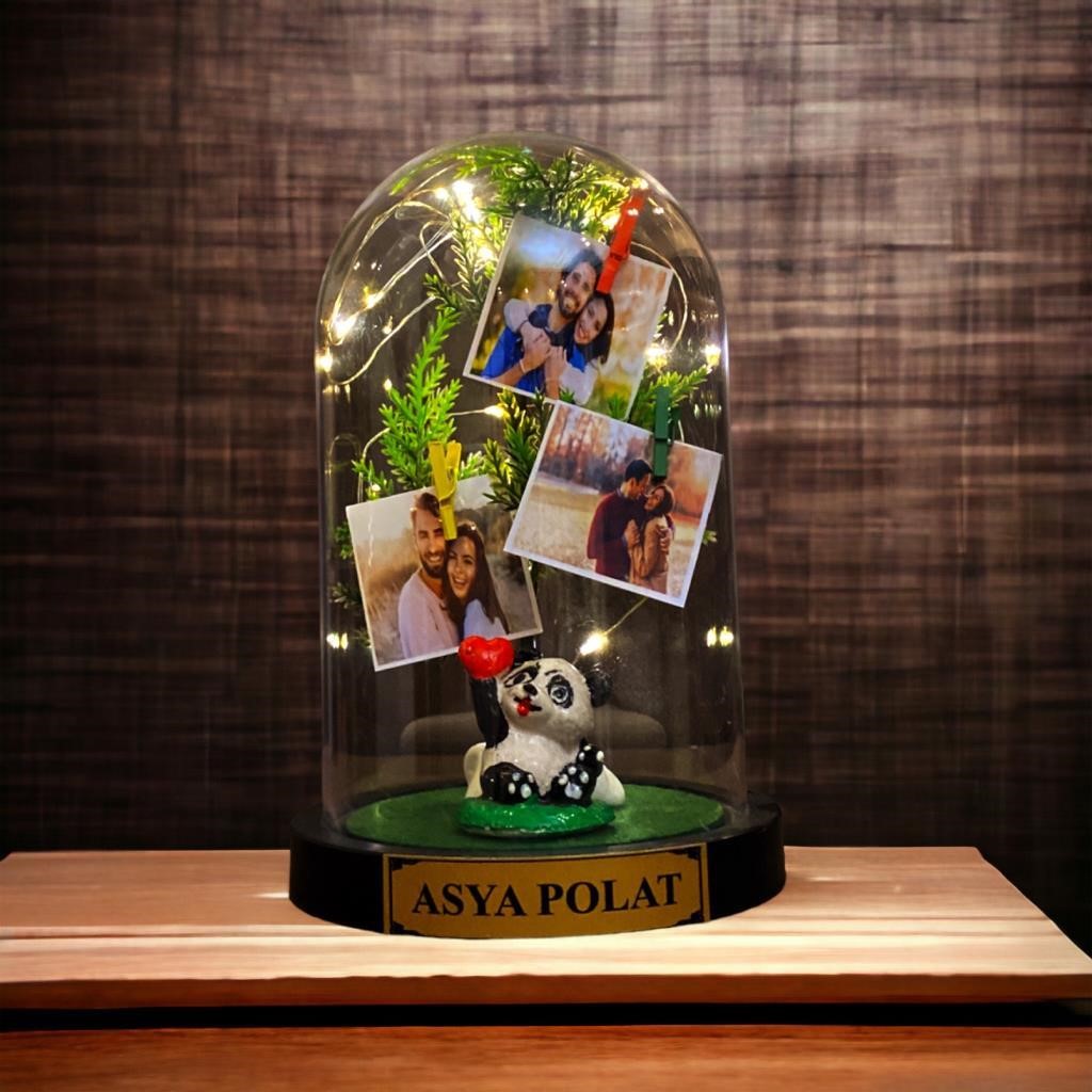 Kişiye Özel Çikolata Kutulu, Fotoğraflı ve İsimli Fanus - Sevimli Pandalı ve Led Işıklı