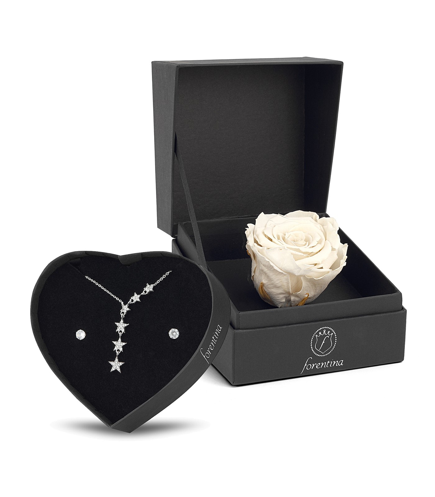 Forentina Sallantılı Yıldız Kolye Küpe - Beyaz Solmayan Gül Hediye Set PS2542