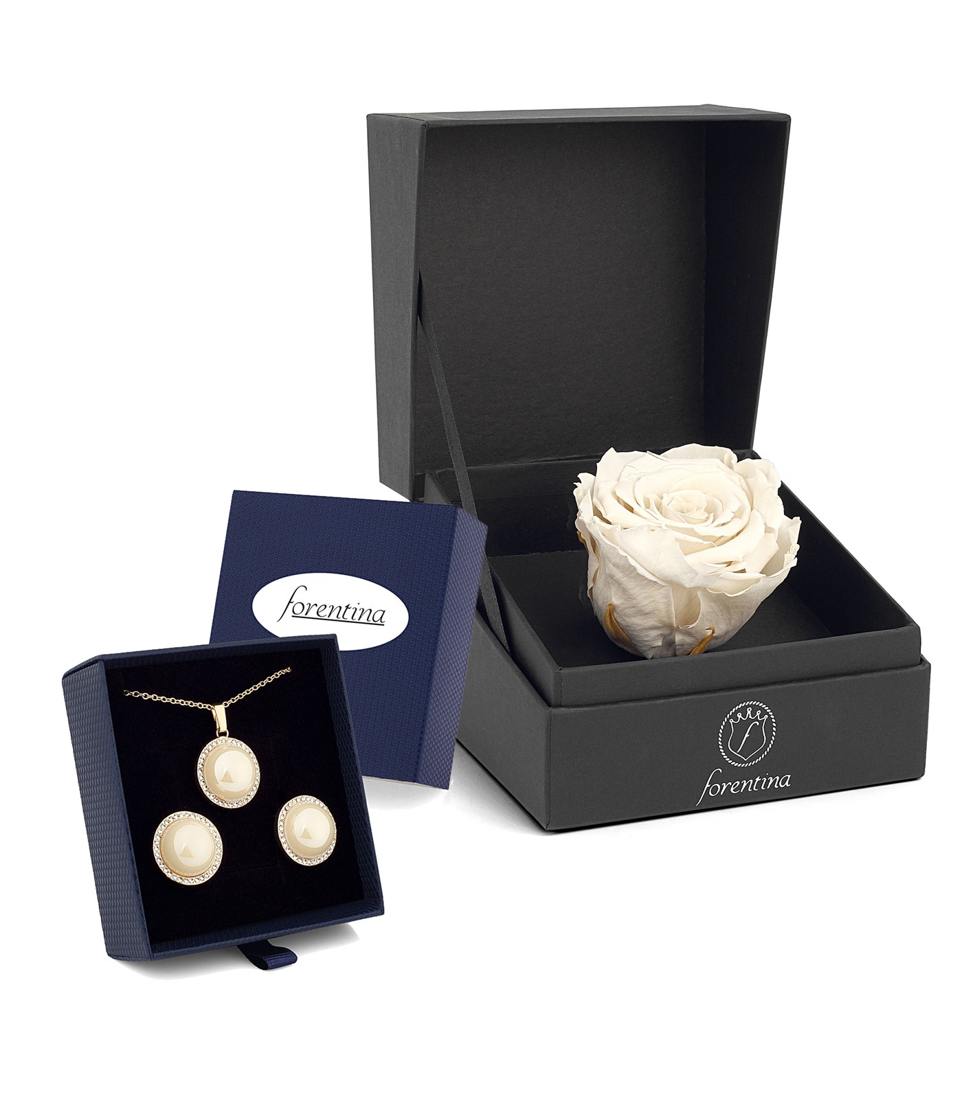 Forentina Taşlı Kolye Küpe Takı Seti - Beyaz Solmayan Gül Hediye Set PS2543