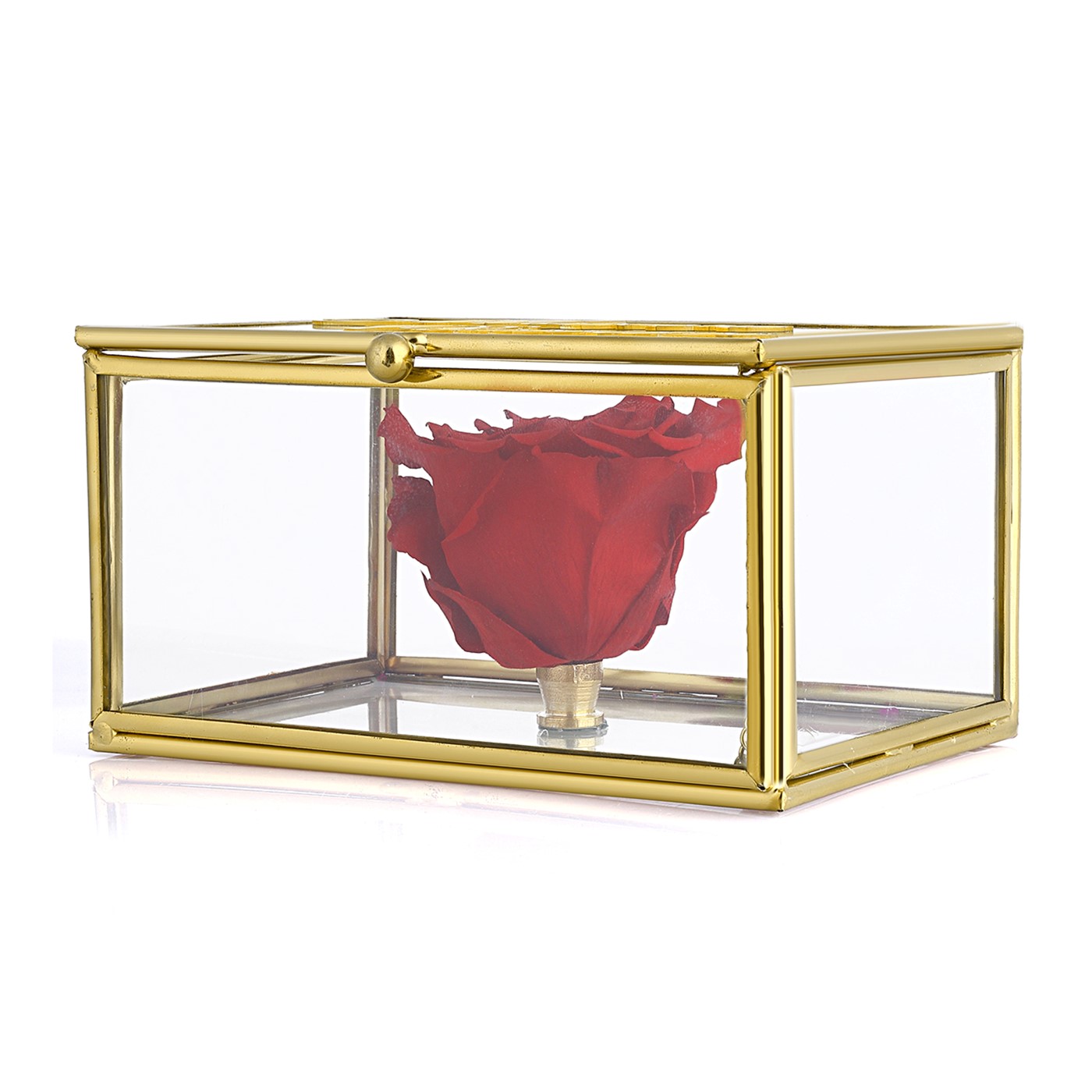 Forentina Tektaş Kolye Cam Kutu Solmayan Gül - Kişiye Özel Yazı PS2595