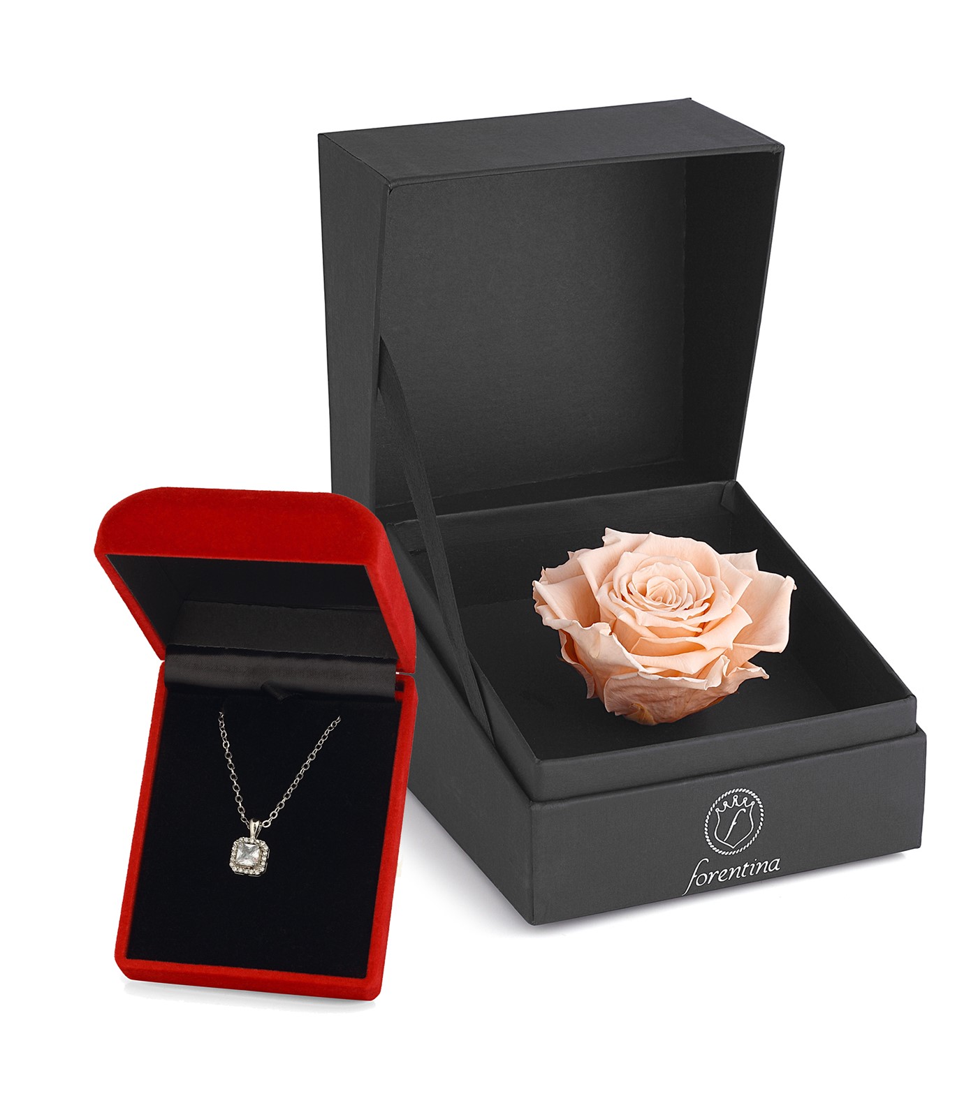 Forentina Gümüş Kaplama Tektaş Kolye - Rose Solmayan Gül Hediye Set PS2599