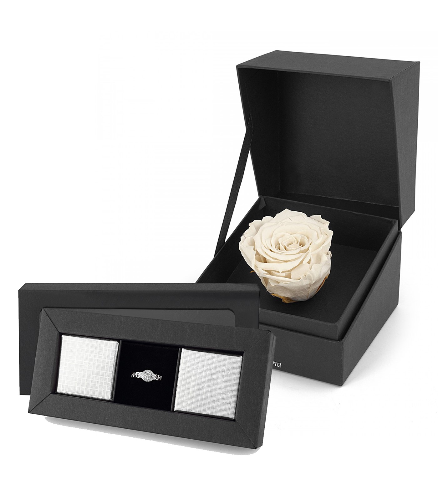 Forentina Tektaş Yüzük Çikolata & Beyaz Solmayan Gül Hediye Set PS2648