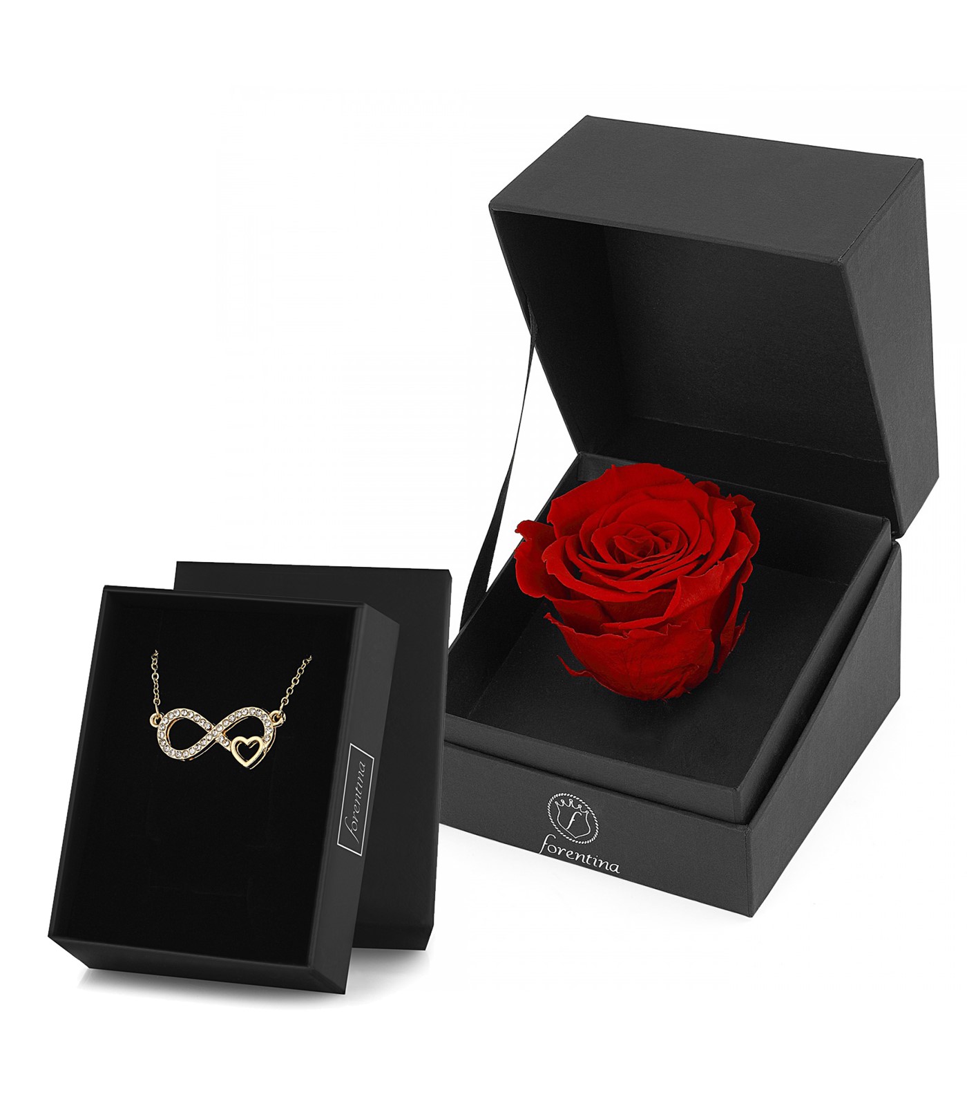 Forentina Sonsuzluk Kolye & Kırmızı Solmayan Gül Hediye Set PS2750