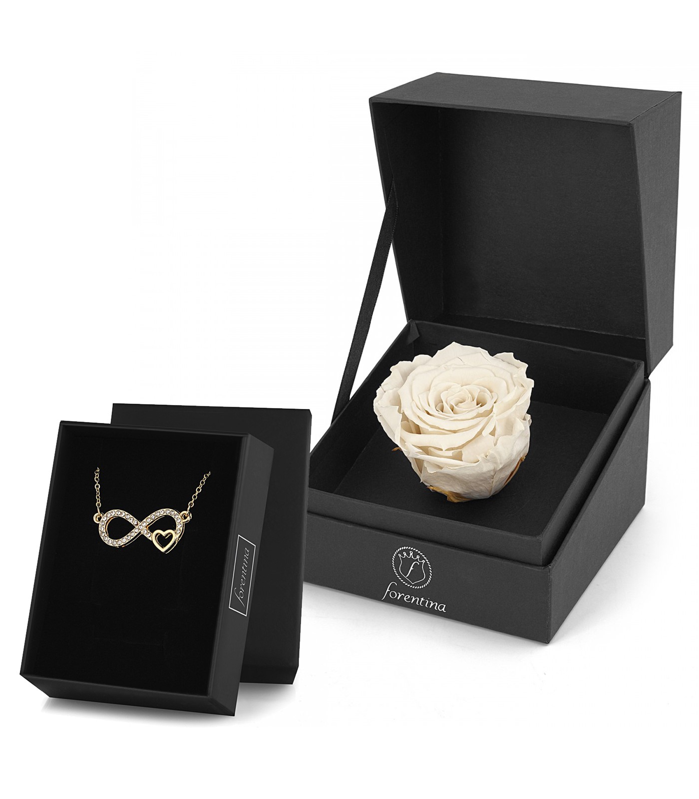 Forentina Sonsuzluk Kolye & Beyaz Solmayan Gül Hediye Set PS2755