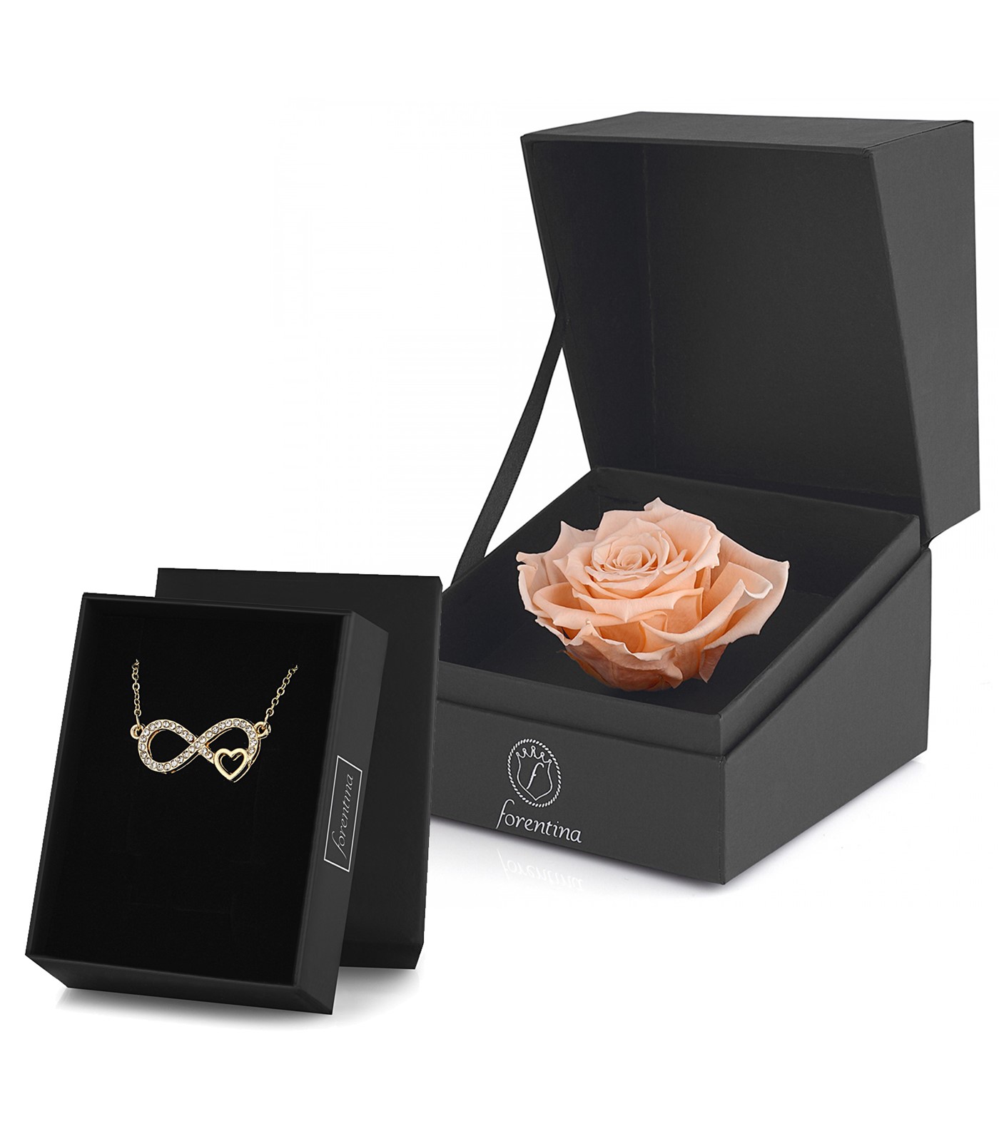 Forentina Sonsuzluk Kolye & Rose Solmayan Gül Hediye Set PS2759