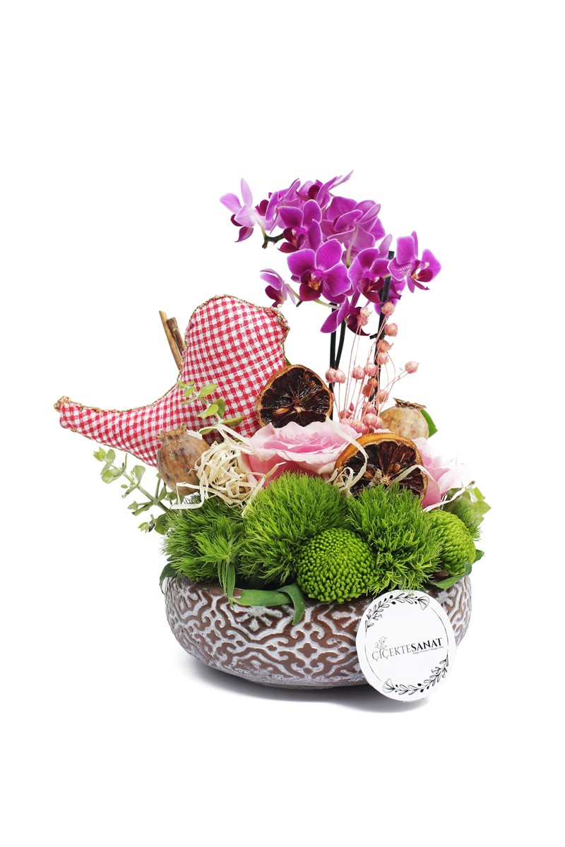 Bird & Little Orchid