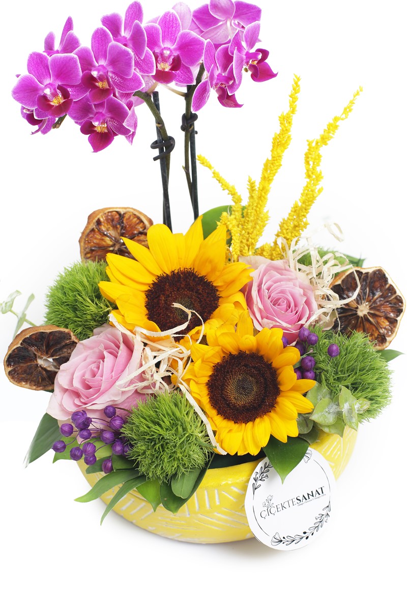 Sunflower & Little Orchid